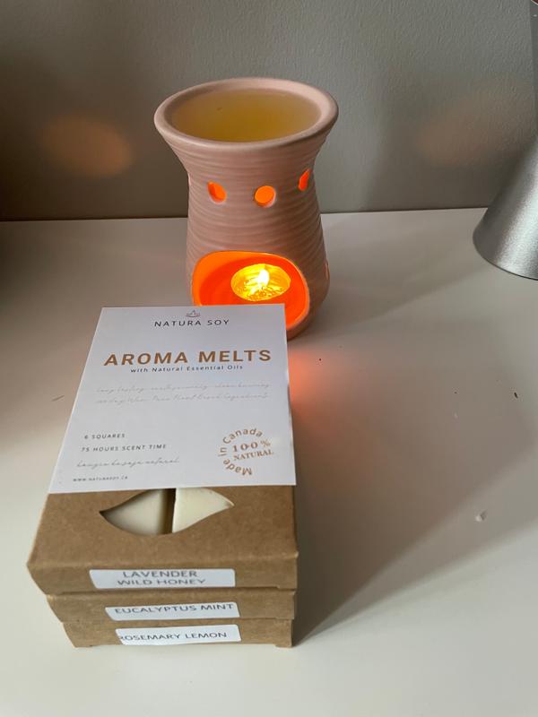 Guide to Flameless Fragrance Aroma Melts - Natura Soylights