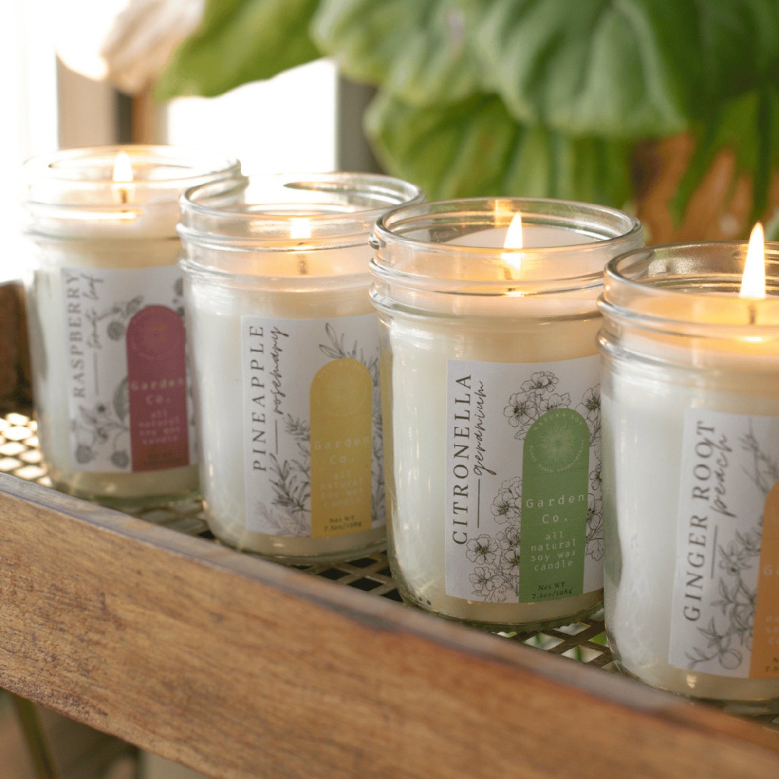 Garden Collection Candle - Natura Soylights