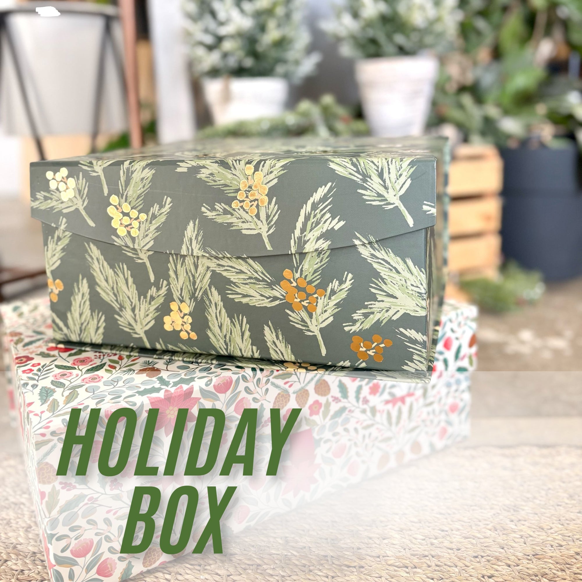 Holiday Box - Natura Soylights