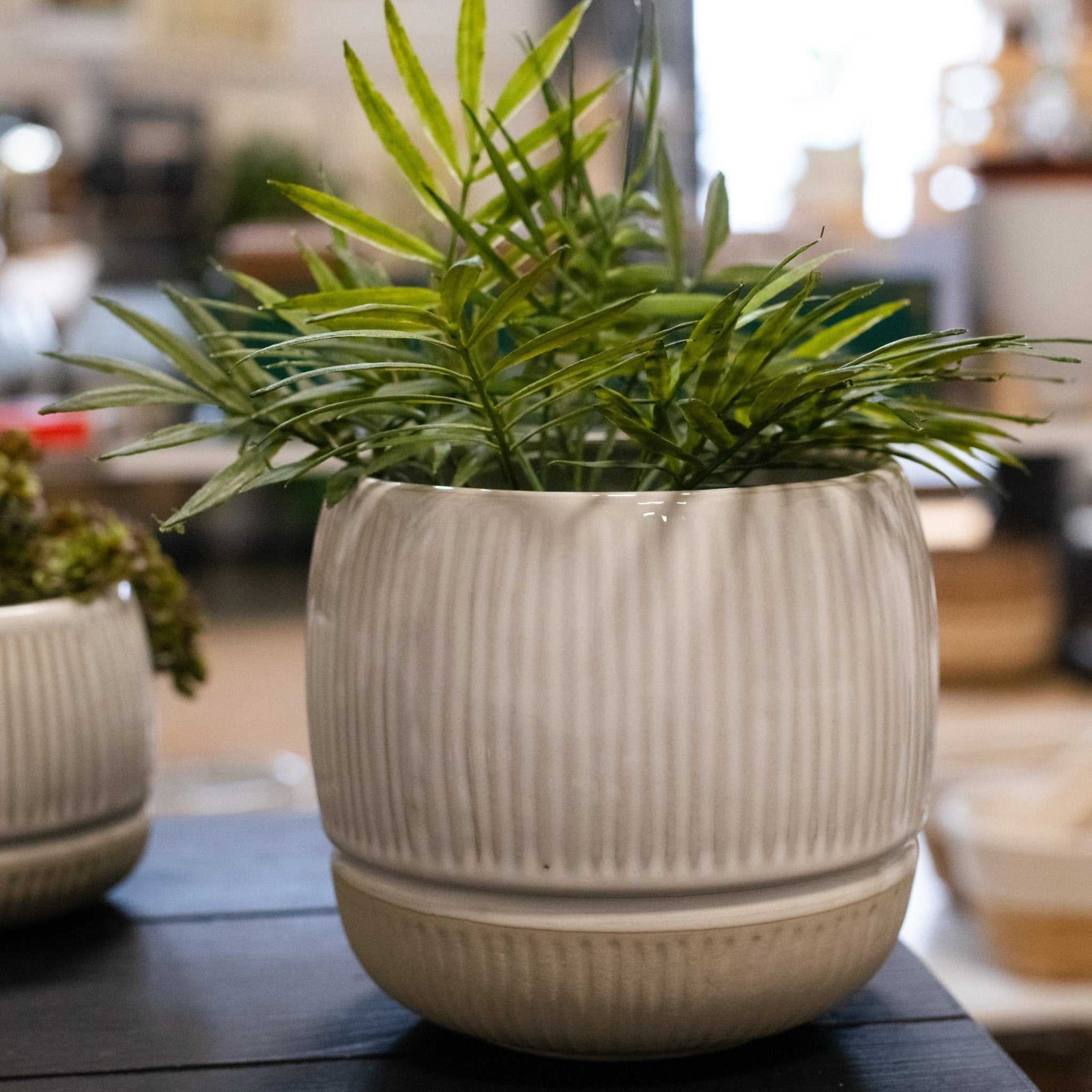 Isla Striped Pot - Large - Natura Soylights