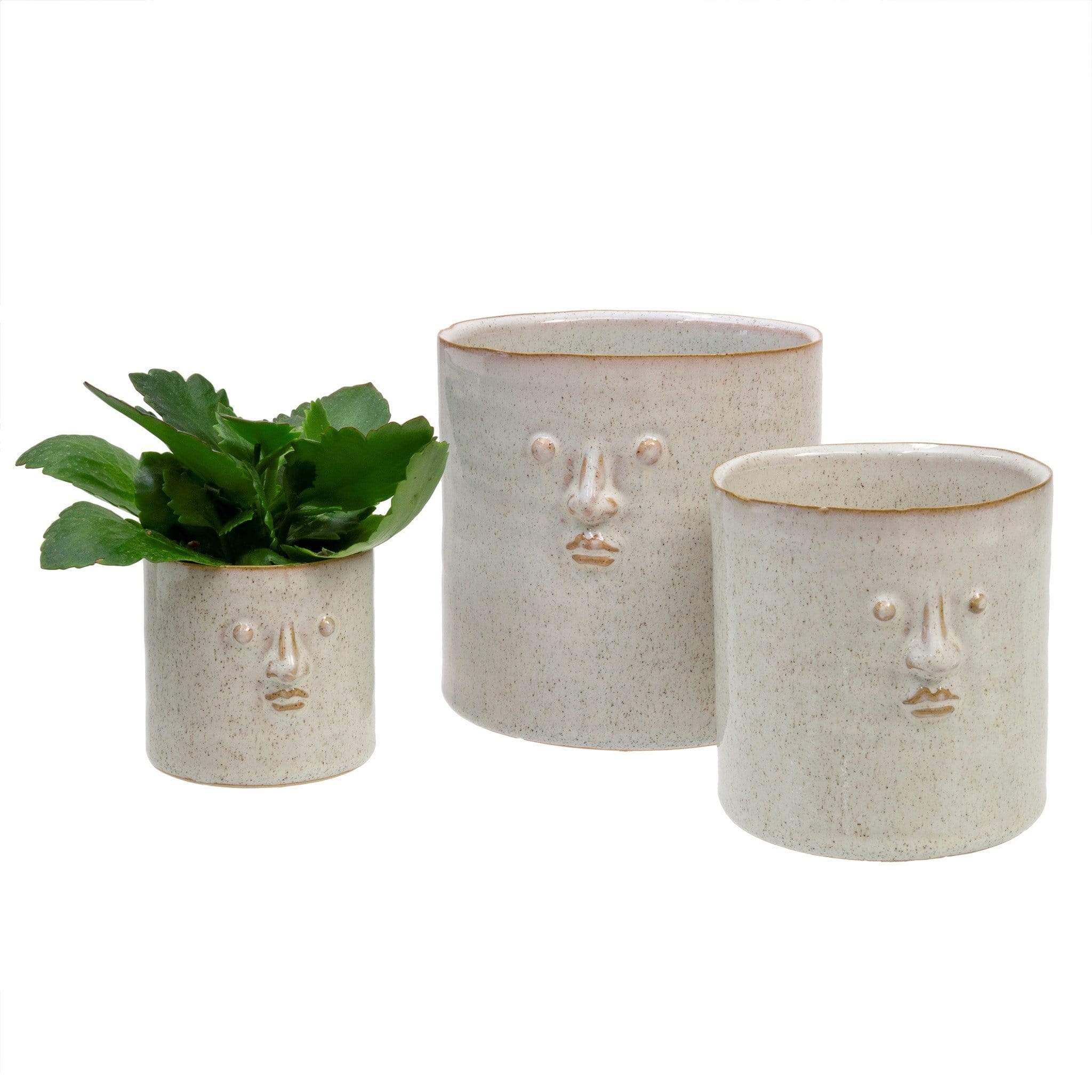 Natura Soylights Pot Head Planter