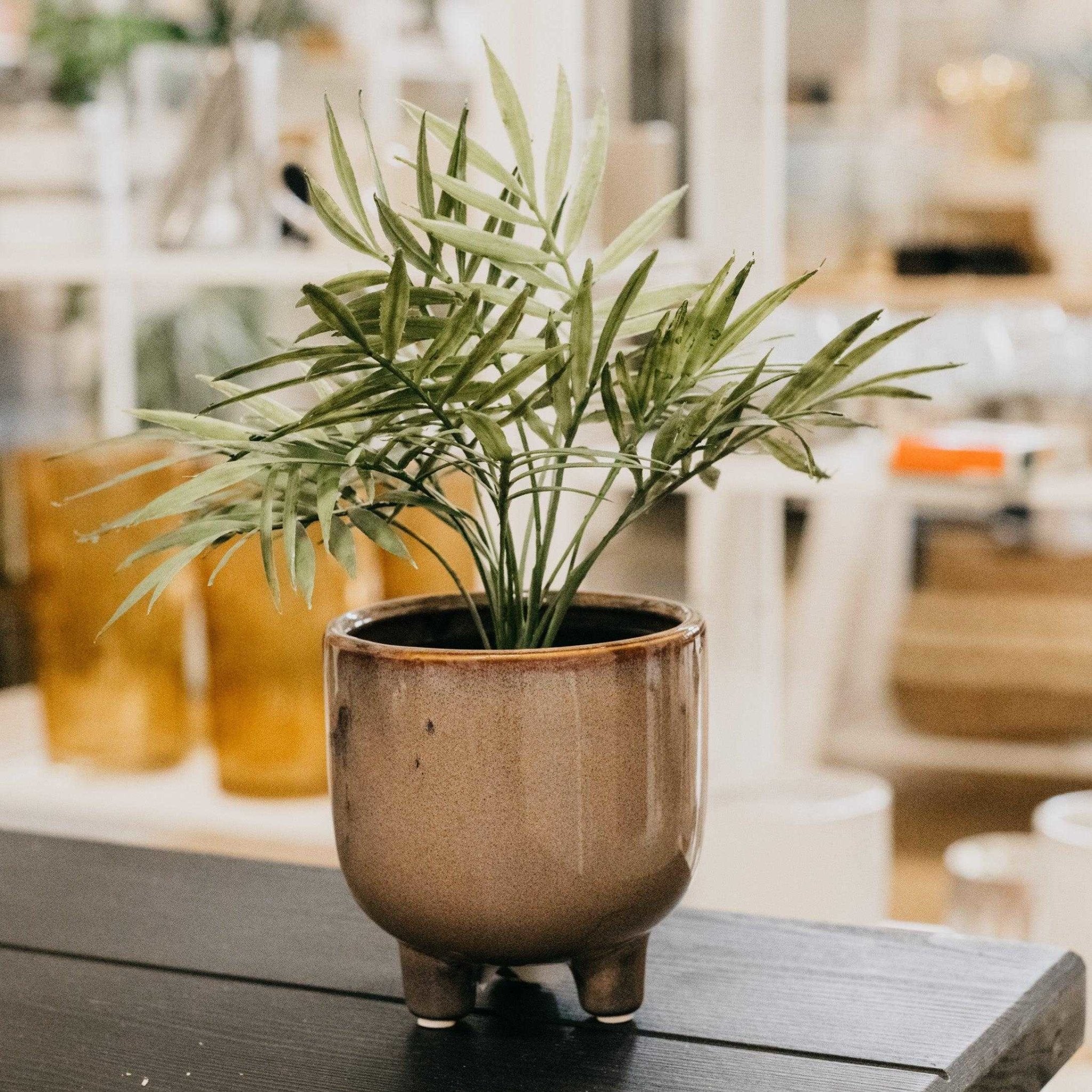 Taupe Ceramic Pot - Natura Soylights