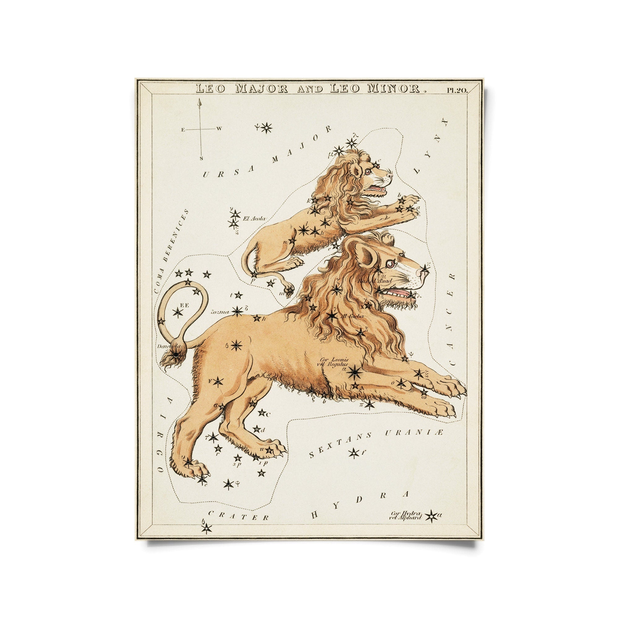 Vintage Zodiac Sign Astrology Print - Natura Soylights