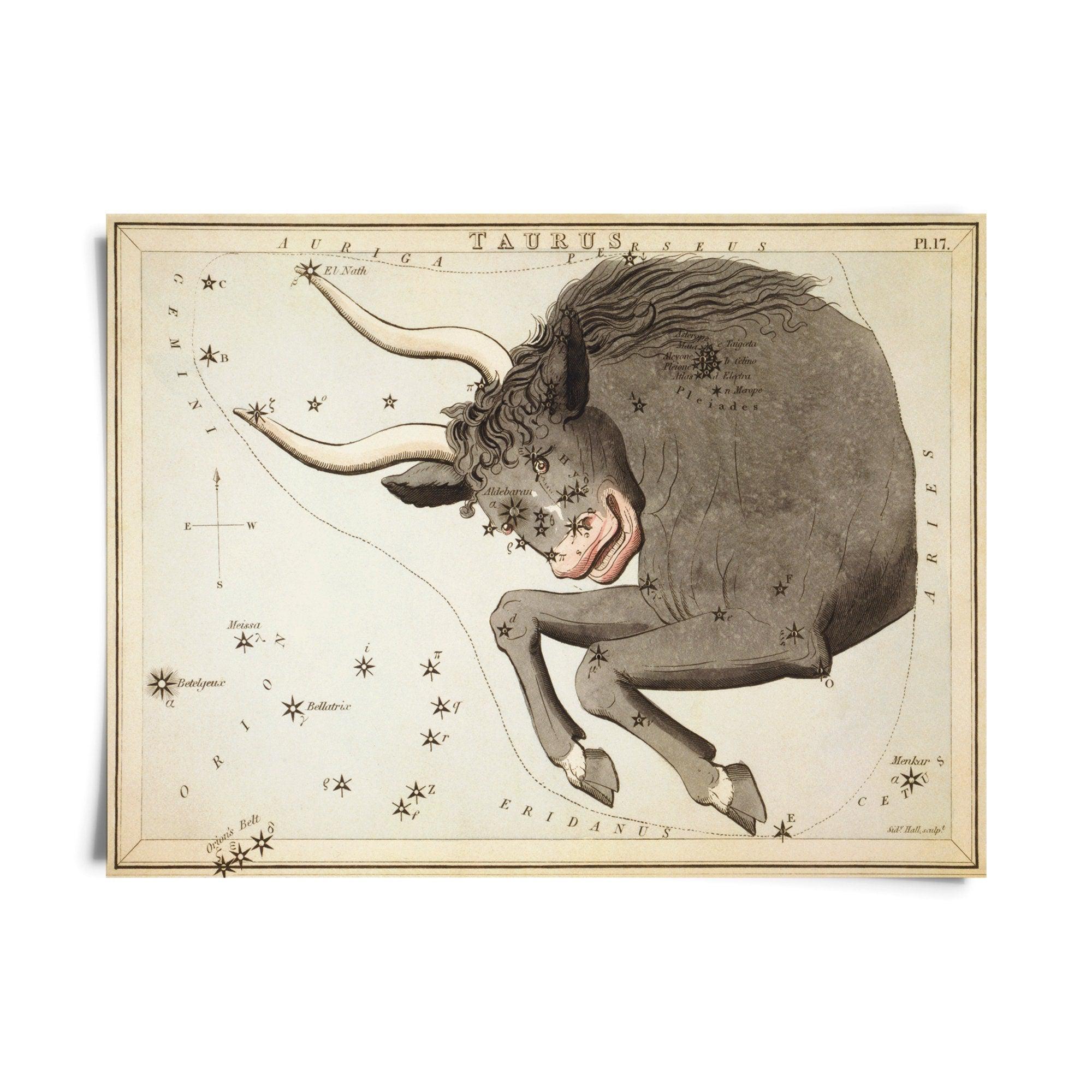 Vintage Zodiac Sign Astrology Print - Natura Soylights