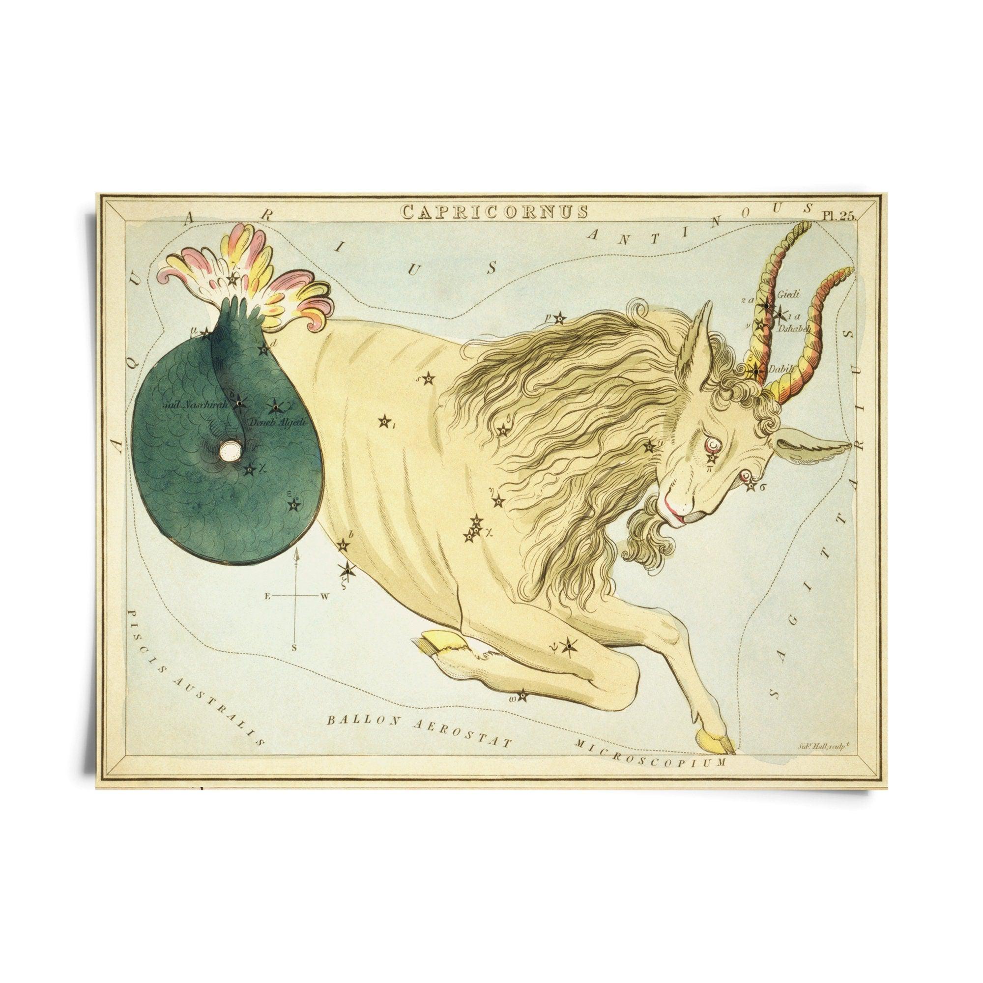 Vintage Zodiac Sign Astrology Print - Natura Soylights