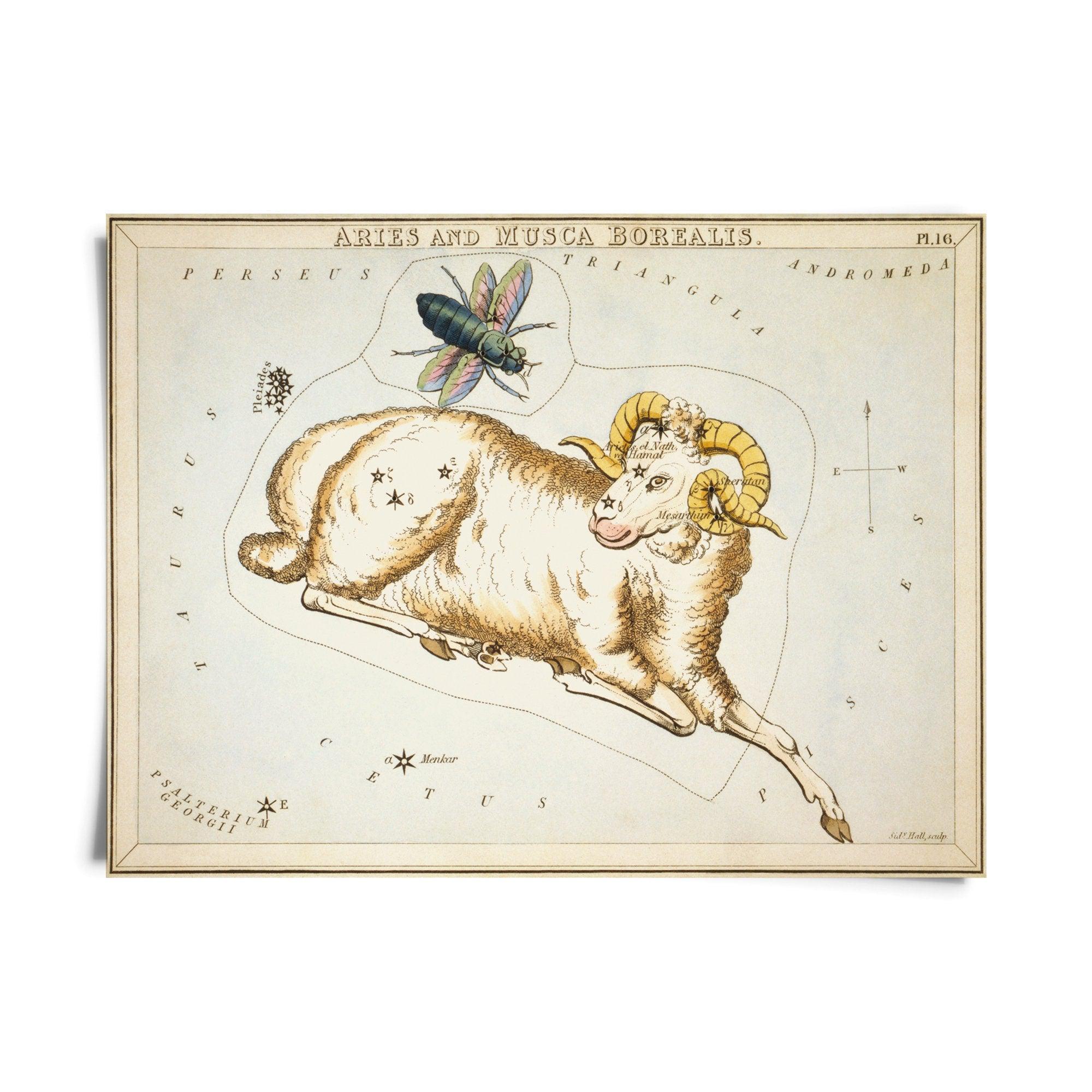 Vintage Zodiac Sign Astrology Print - Natura Soylights