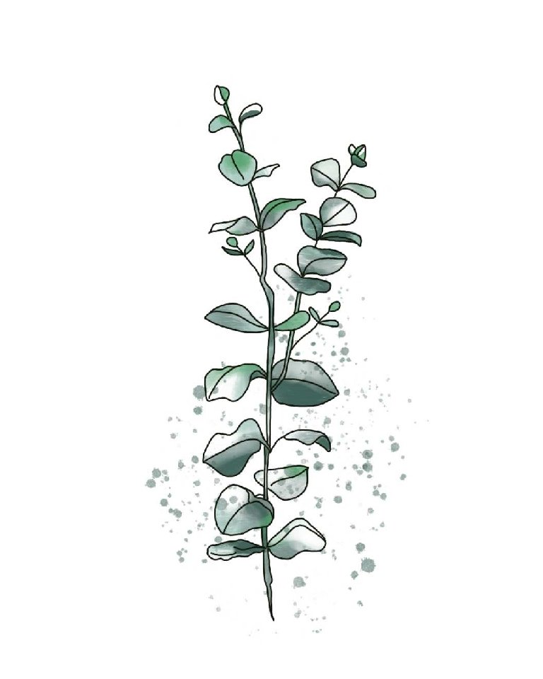 Eucalyptus Mint - Natura Soylights