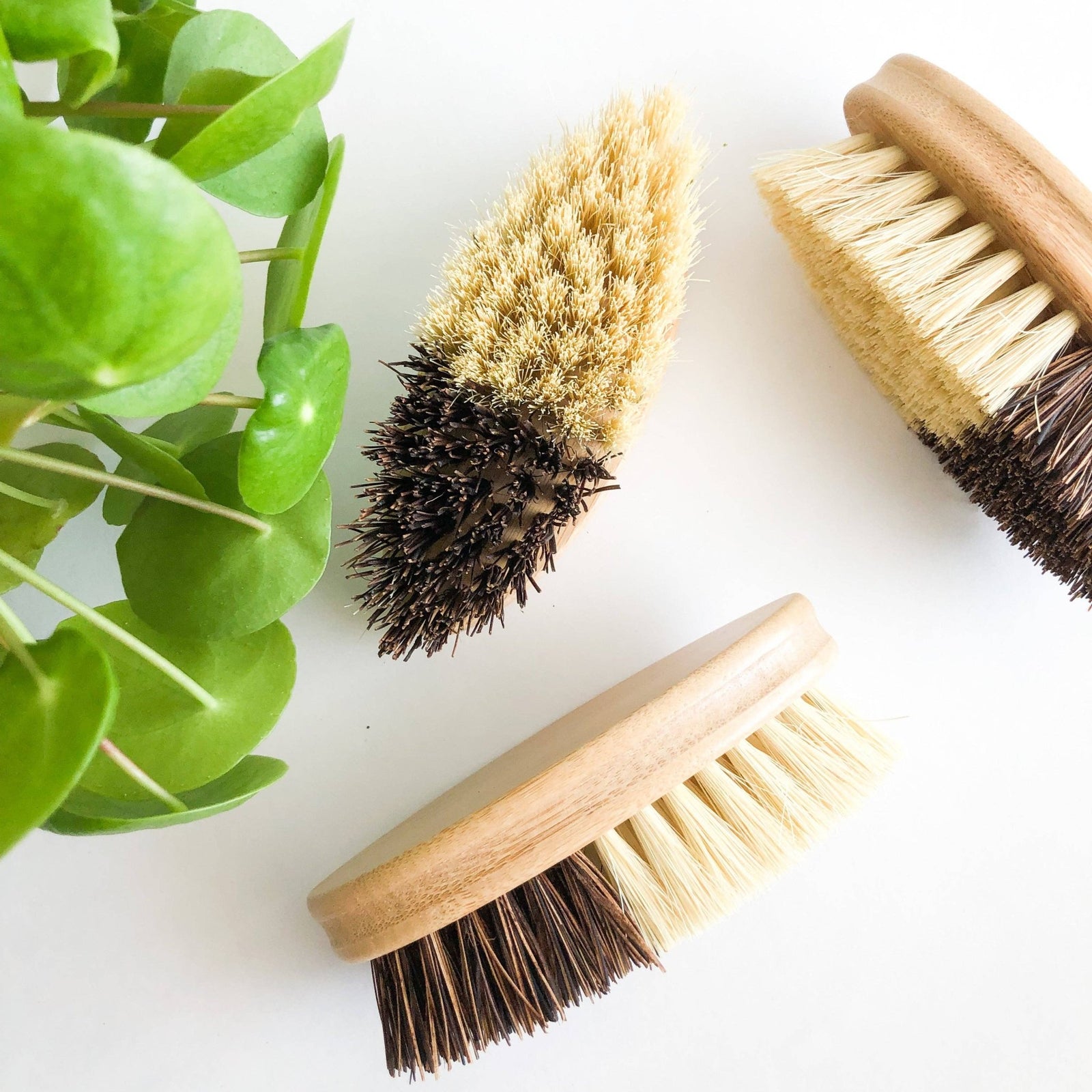 Bamboo Vegetable Brush - Sisal & Palm Bristles - Natura Soylights