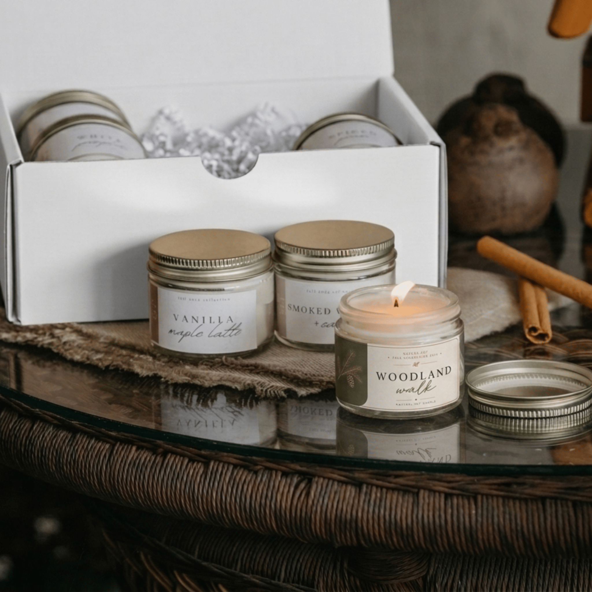 Fall Collection Tester Pack - Natura Soylights