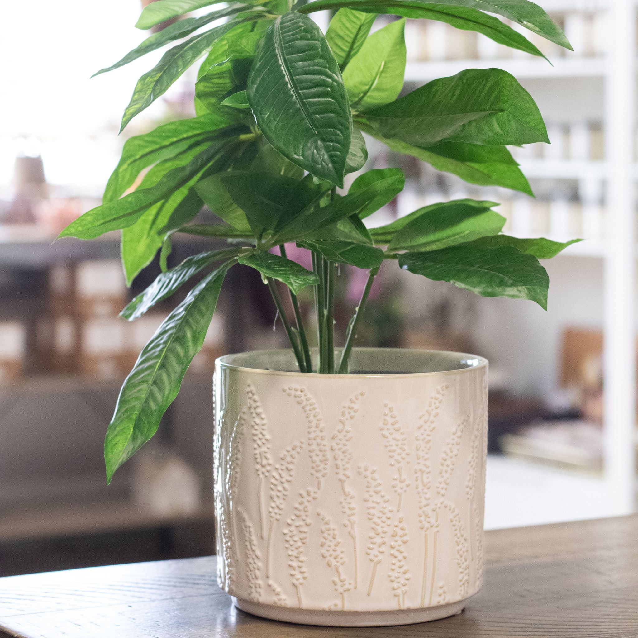 Floral Stem Ceramic Pot - Natura Soylights