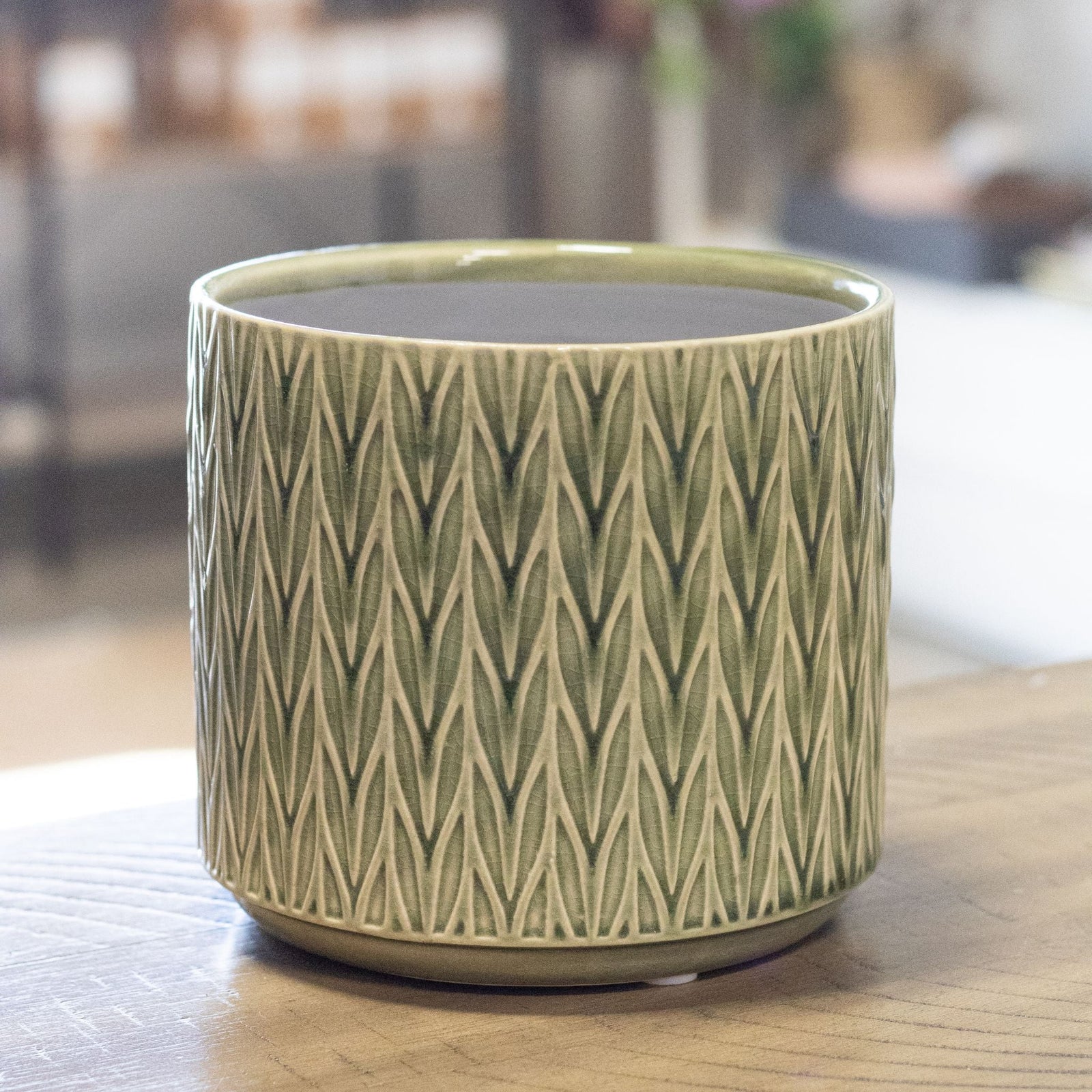 Green Staghorn Ceramic Pot - Natura Soylights