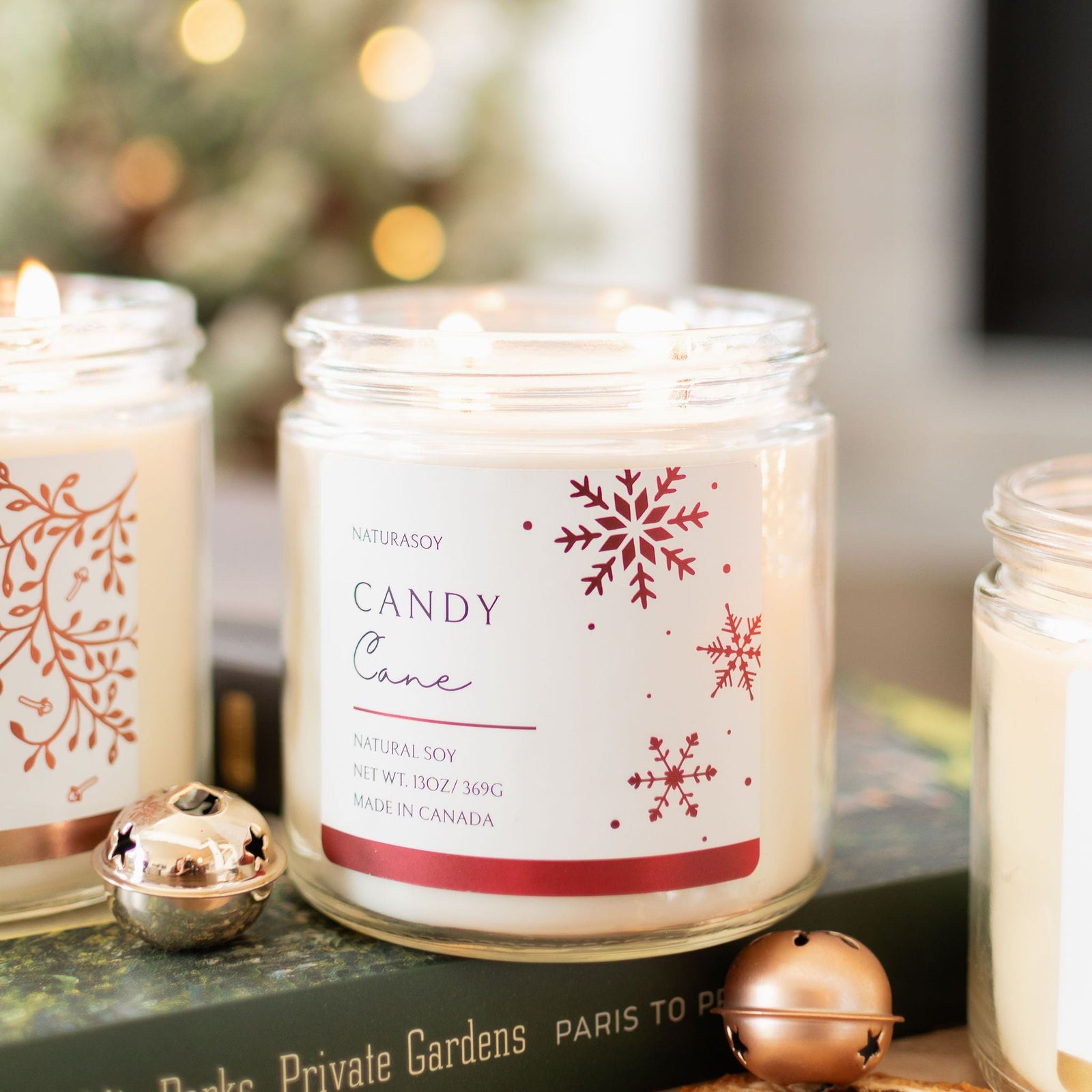 Limited Edition Holiday Jar - Natura Soylights