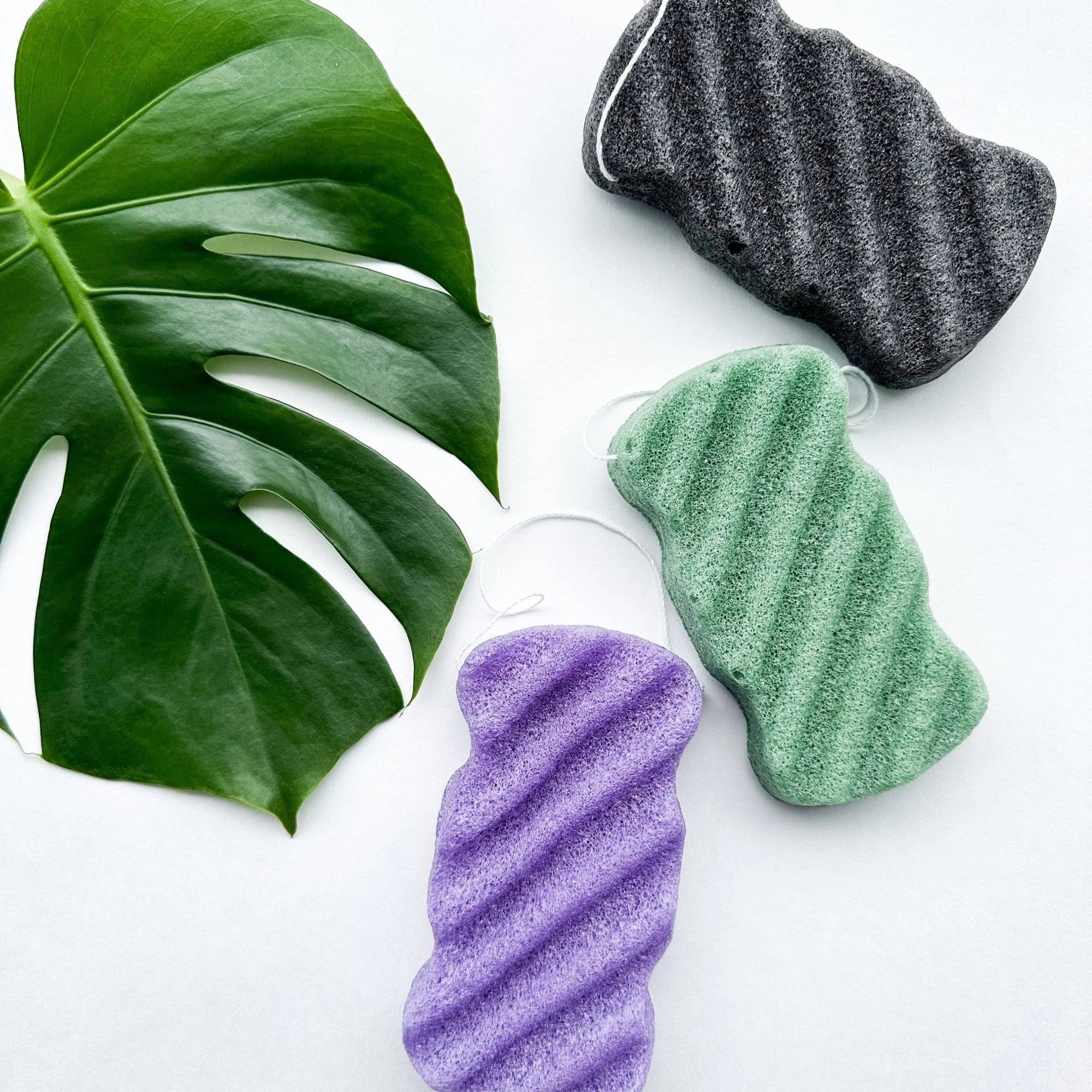 Natural Organic Konjac Body Sponge - Natura Soylights
