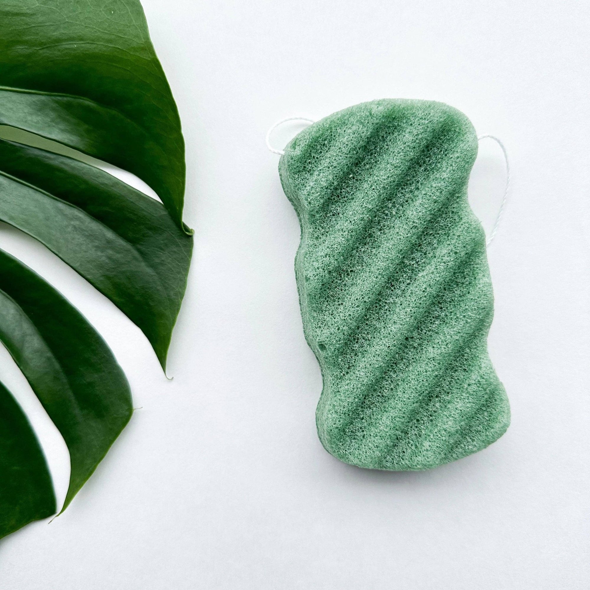 Natural Organic Konjac Body Sponge - Natura Soylights