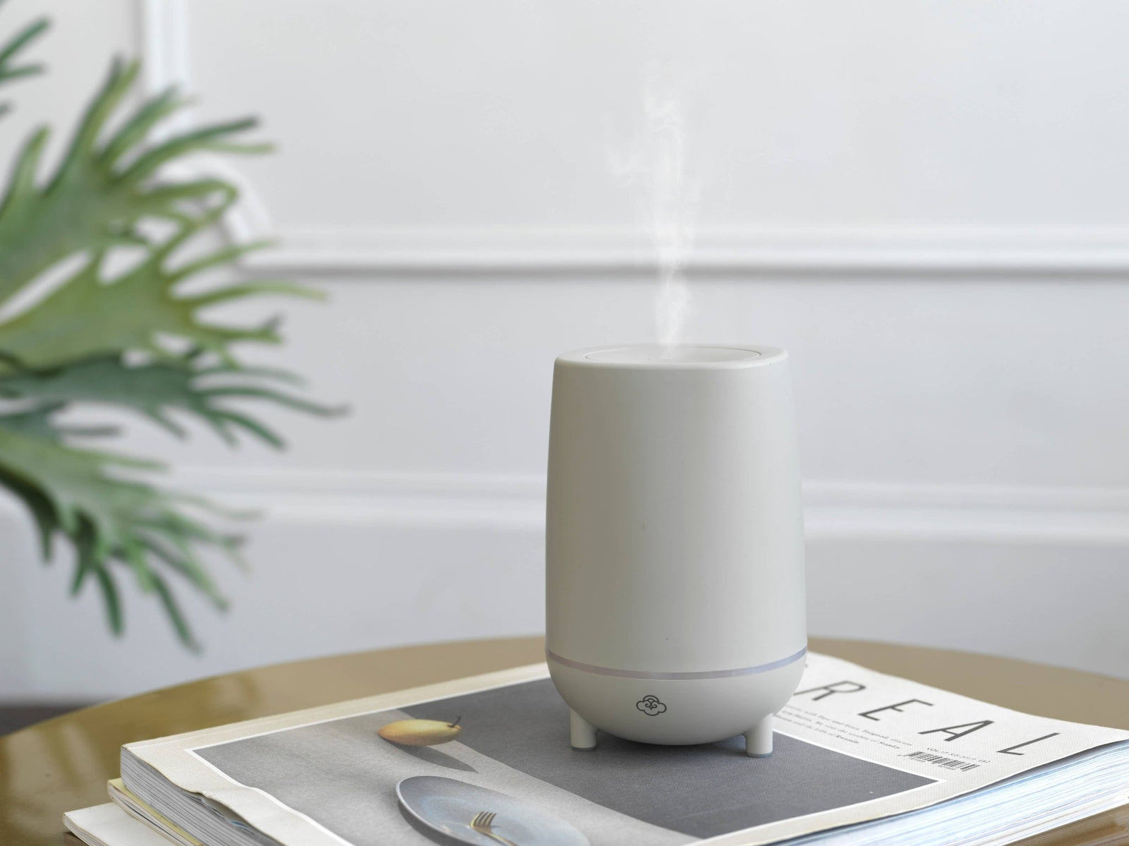 Rain Grey 5V Scentilizer - Natura Soylights