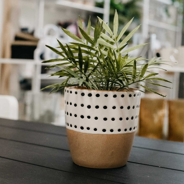 Doodle Pot - Natura Soylights