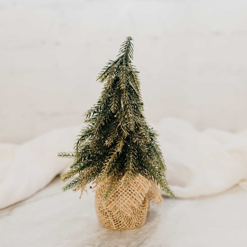 Festive Fir - Small - Natura Soylights
