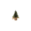 Festive Fir - Small - Natura Soylights