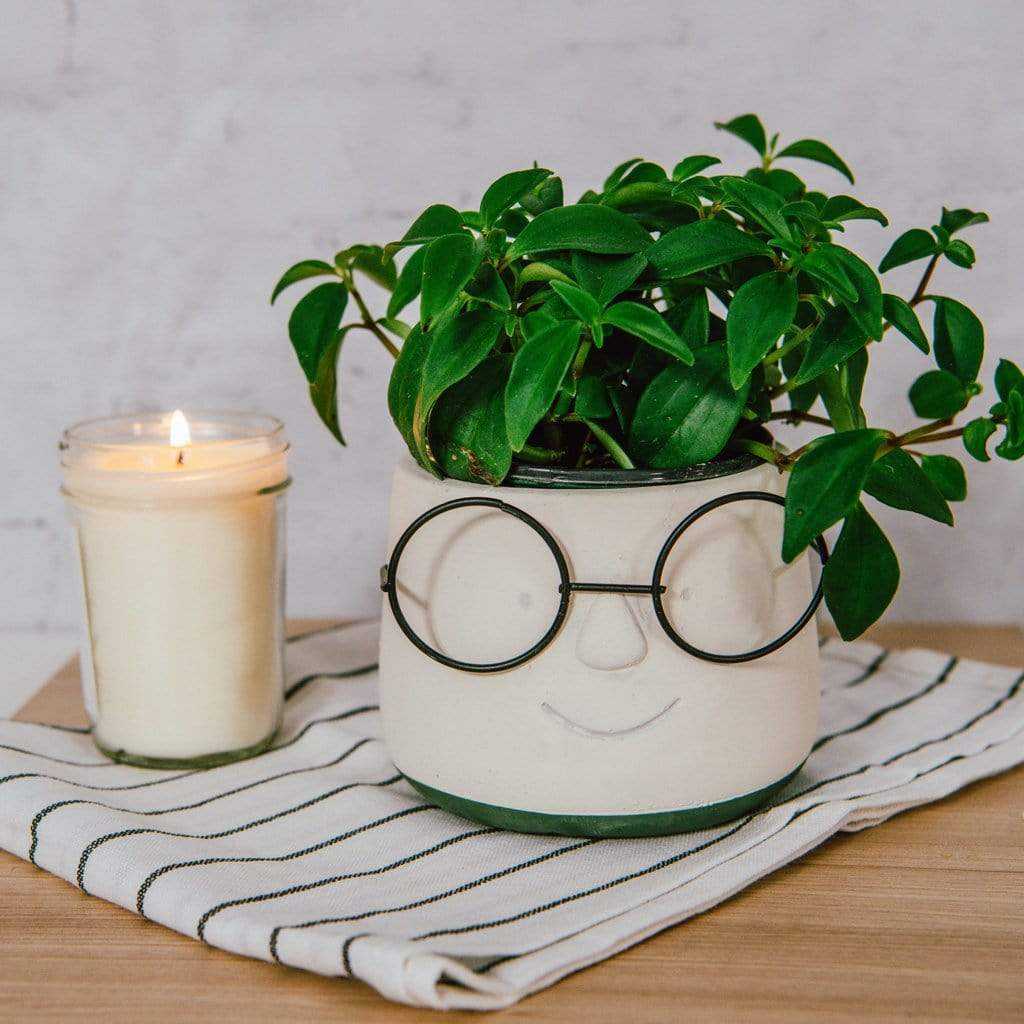 Hector Pot - Natura Soylights