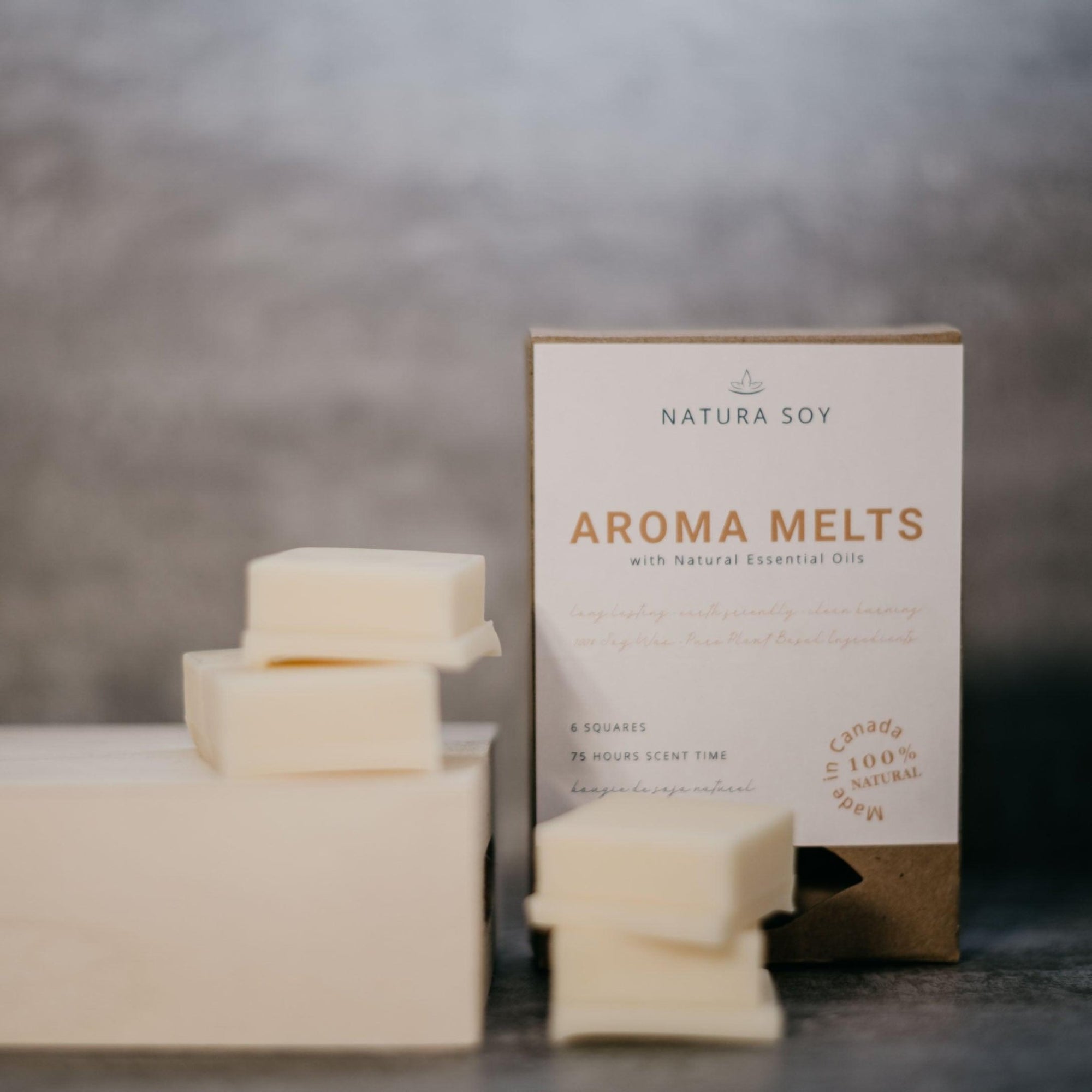 Holiday Aroma Melts - Natura Soylights