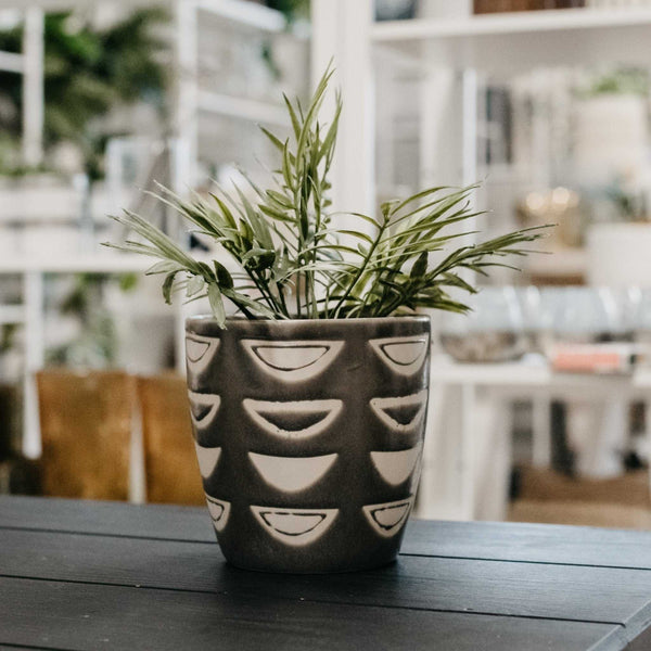 Luna Pot - Natura Soylights
