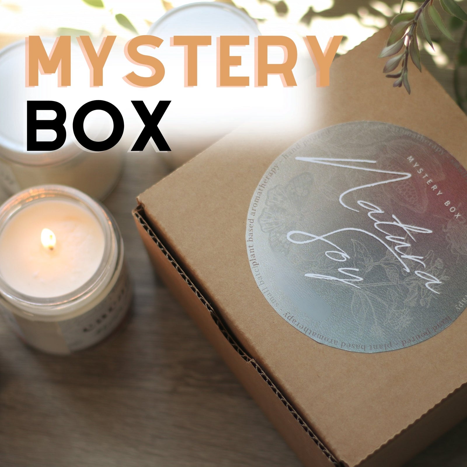 Fall-Tester-Box- Natura Soylights