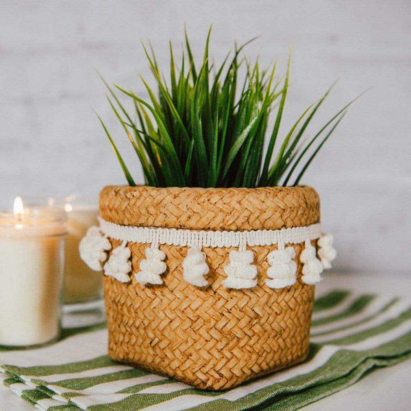Palmea Pot - Natura Soylights
