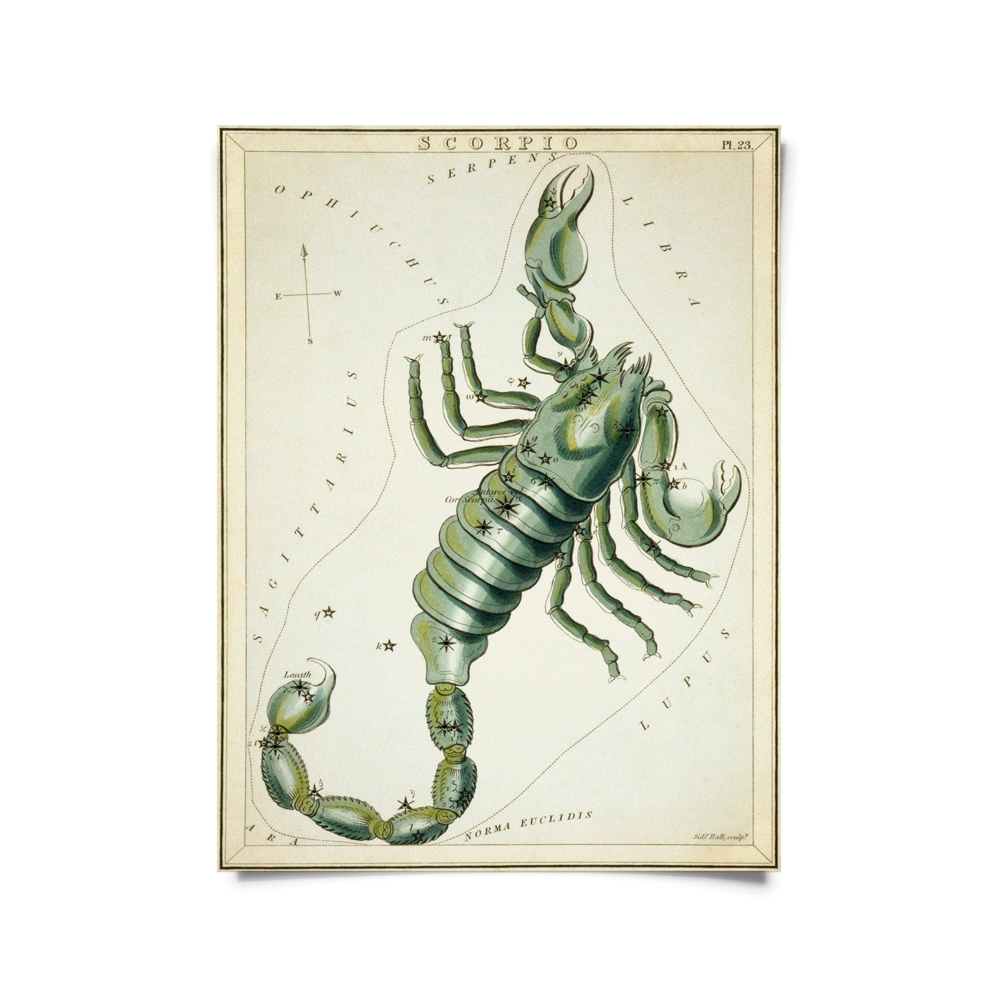Vintage Zodiac Sign Astrology Print - Natura Soylights